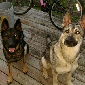 Meet your Posher, Kimber